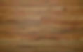 Sydney Spotted Gum