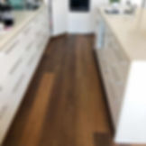 QLD Spotted Gum