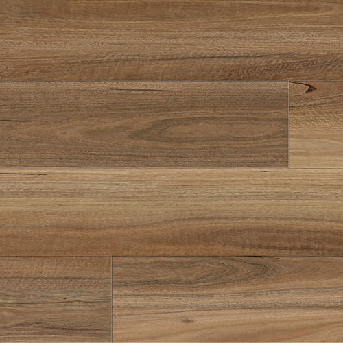 Northern Spotted Gum 7122