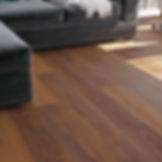 Northern Spotted Gum