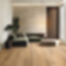Golden Ash RKP8242