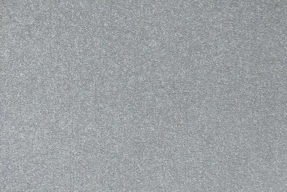 Elanus Grey