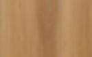 Mountain Blackbutt