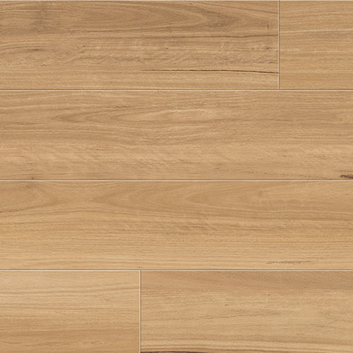 Coastal Blackbutt 7115