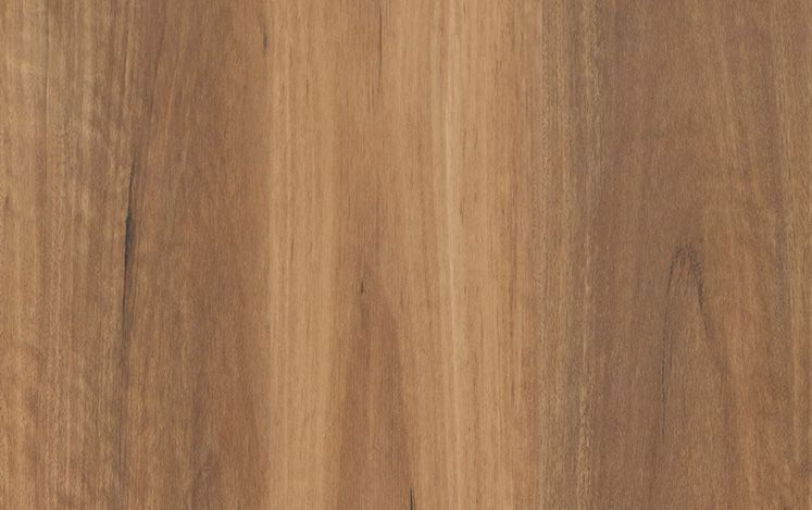 Alpine Spotted Gum