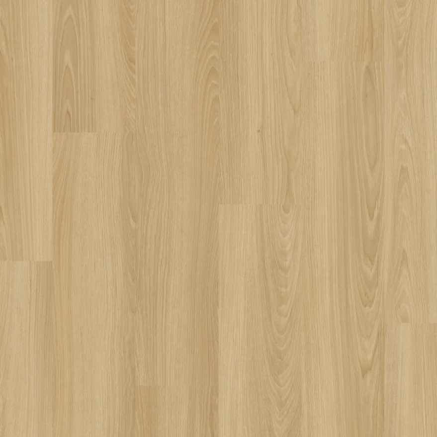 Beachside Oak CXF00463