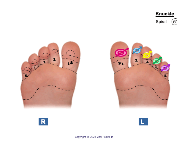 Spiral ONLY no spins toes.gif