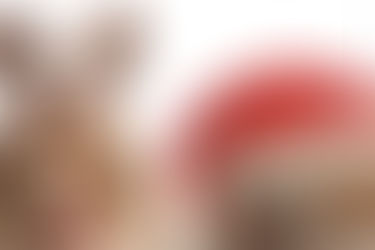 Healthy-Holiday After Thoughts, Reflections and Celebrations