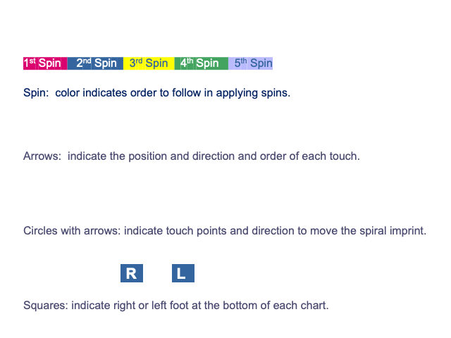 Guidelines - Color and Directional spins.gif