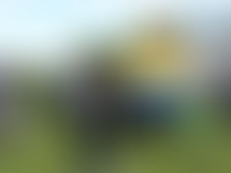 Air Ambulance Charity Weekend