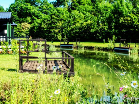 SITE UPDATE APRIL 2021