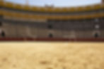 PLAZA DE TOROS.jpg