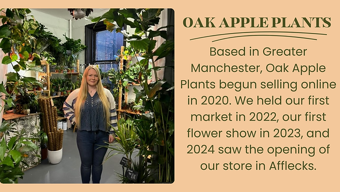 Red Green Beige Minimalist December 2024 Calendar (2).png