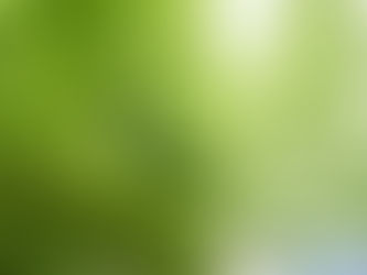 ゴーヤも最後の収穫です。