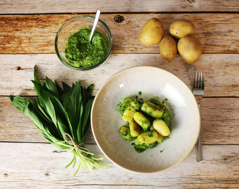 Gnocchi mit Bärlauch-Pesto