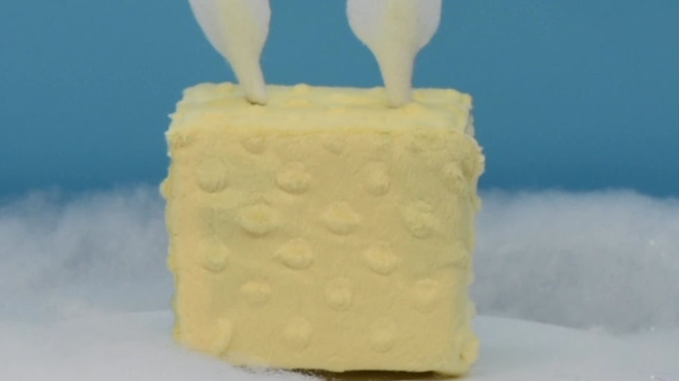 Thumbnail: Honey Bunny