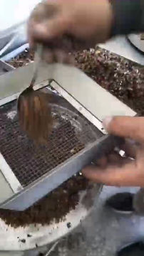 Thumbnail: Bee Bread Harvesting Machine (Perga)
