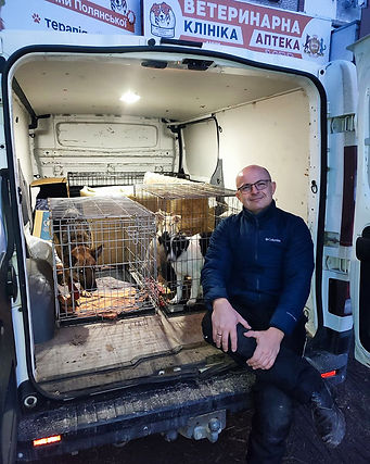 Dogs being rescued (3.7.24).jpg