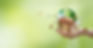 AdobeStock_483983295.jpeg