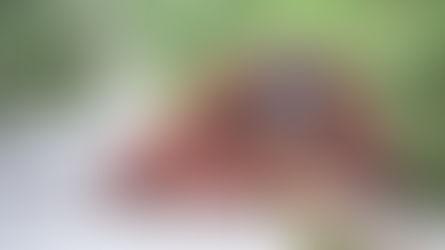 Asia's Endangered Species