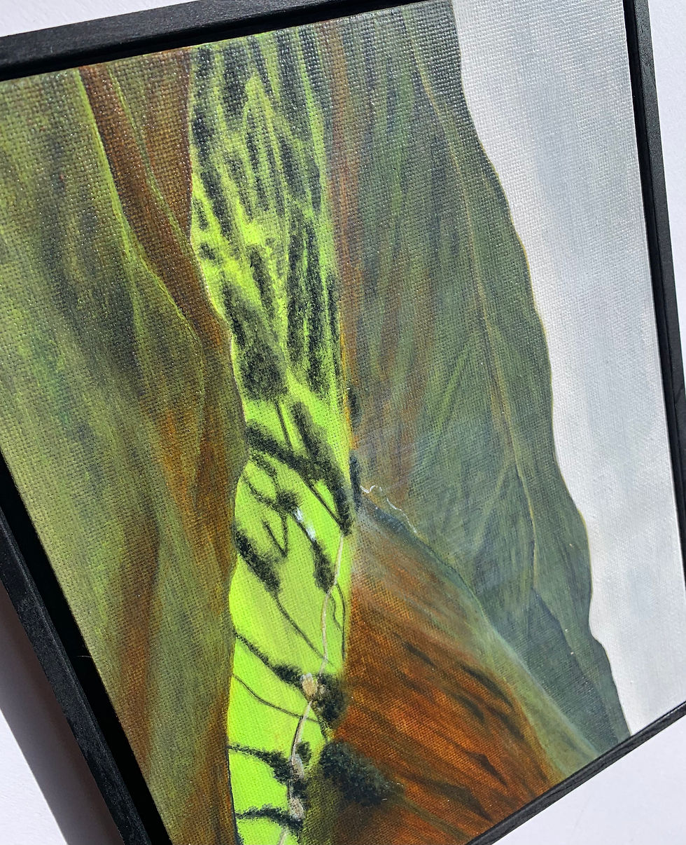 Thumbnail: ‘On the fells’.3