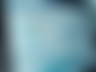 FAIR Analysis Breakdown of a Fictitious Firm in Case Study Part 4b