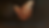 hands-landscape-wedding.png