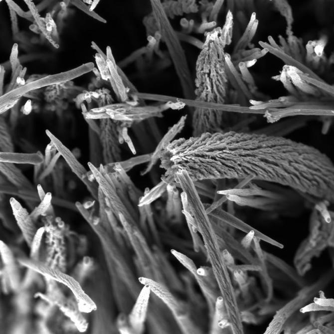 IM_20120727_FEI_30_NanoTubes_lg