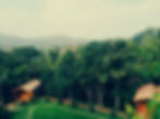 resorts in sakleshpur