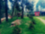 resorts in sakleshpur