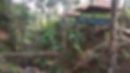 Resorts in Sakleshpur2