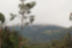 best resorts in sakleshpur