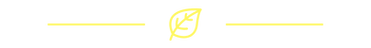 Website leaf elements.png