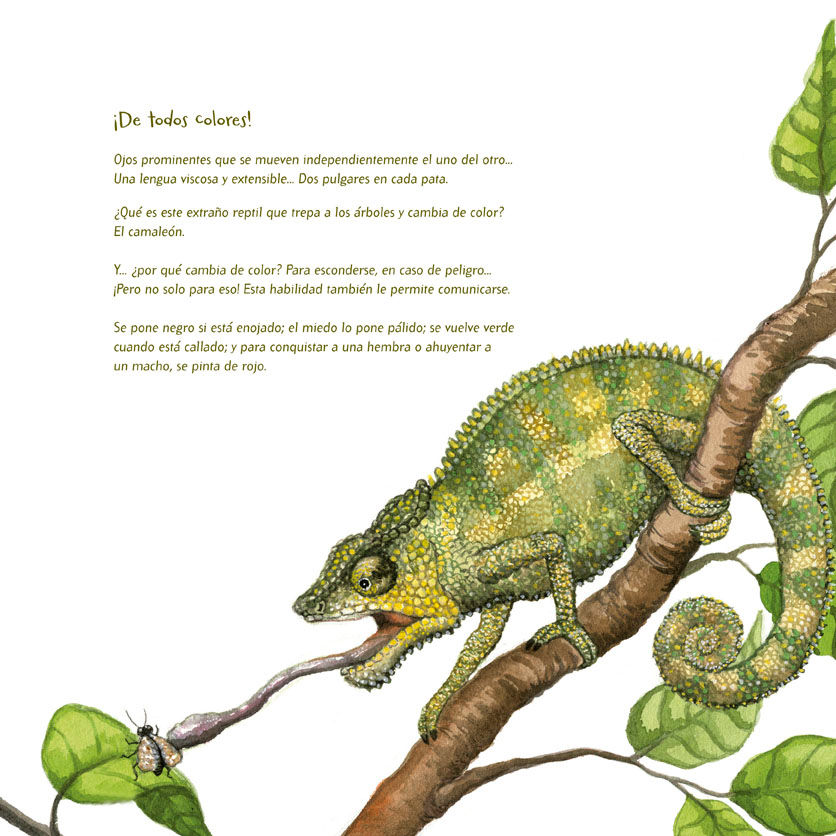 Miniatura: Los Animales