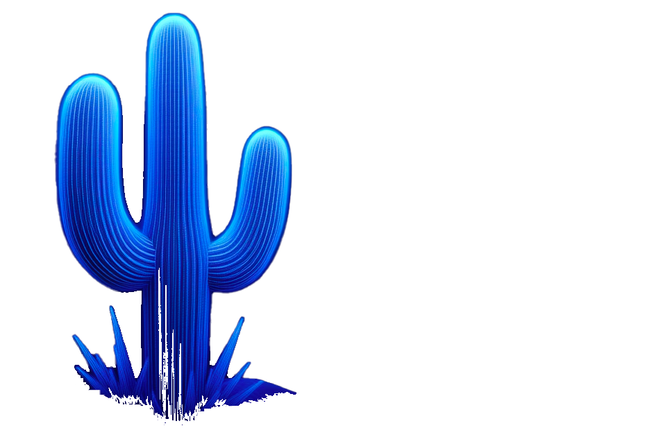 Mojo Broadband logo1_.png