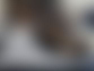 Meet the Residents: Kitten (Yes, That’s Actually Her Name) The blog.