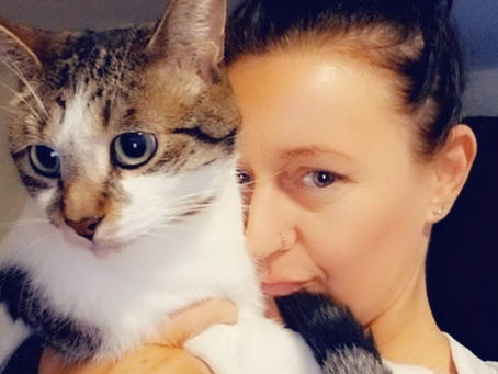 Drop-In Pet Visits Are Back (Because Not Every Pet Wants a Sleepover) The blog.