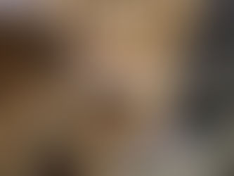 Meet the Residents: Rascal — The Sweetest Pirate Grandpa Cat around. The blog.