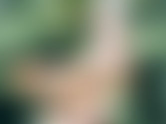 hoomane. pet daycare & pet boarding: Where Your Vacation Isn’t the Only One Happening. The blog.