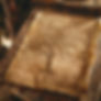 ancient-family-tree-stockcake.jpg