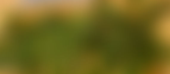 Tried and True Staples for Weeknight Dinners Episode 3: Fig Jam and Arugula White Pizza