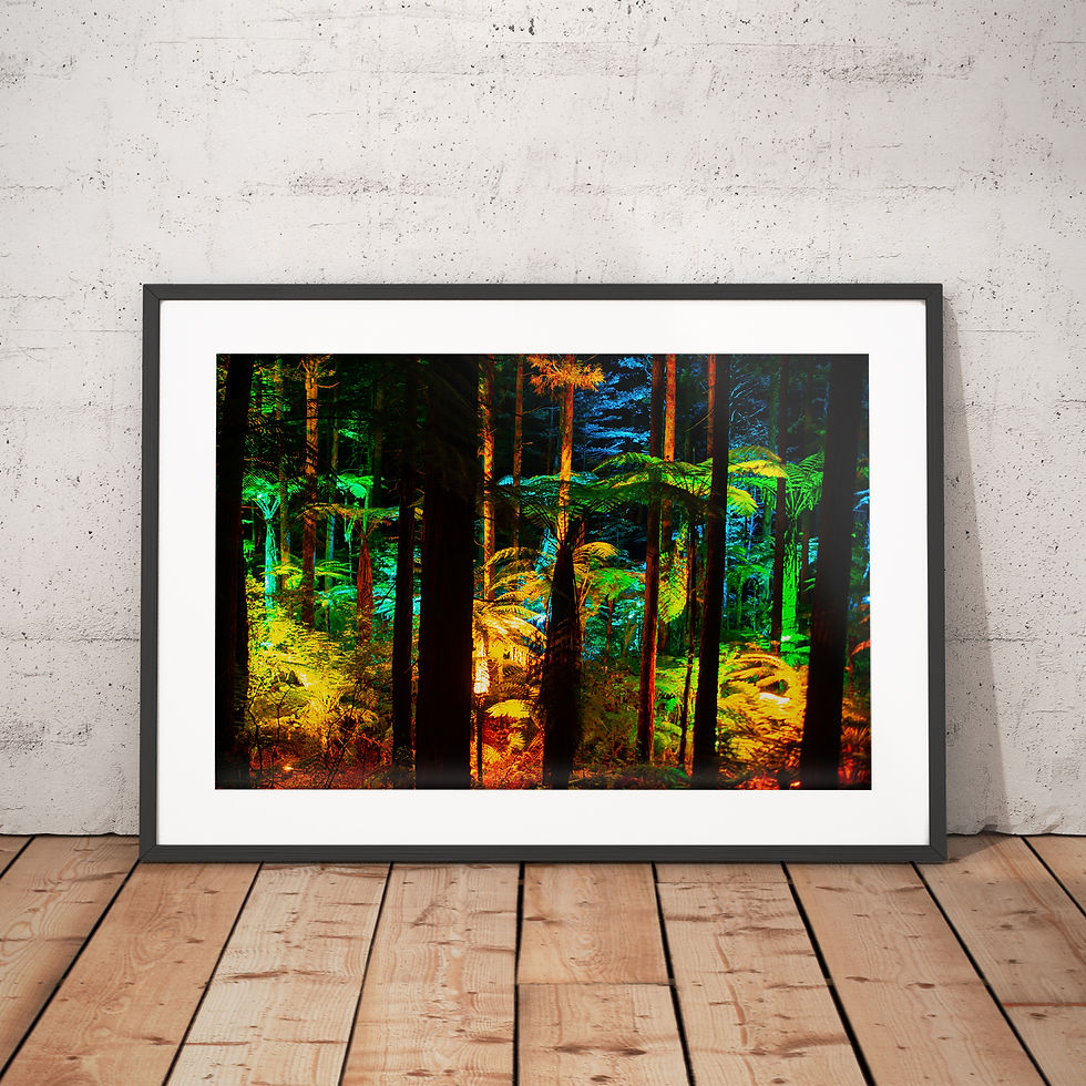 Thumbnail: Rotorua Tree Walk Rainbow Night Lights