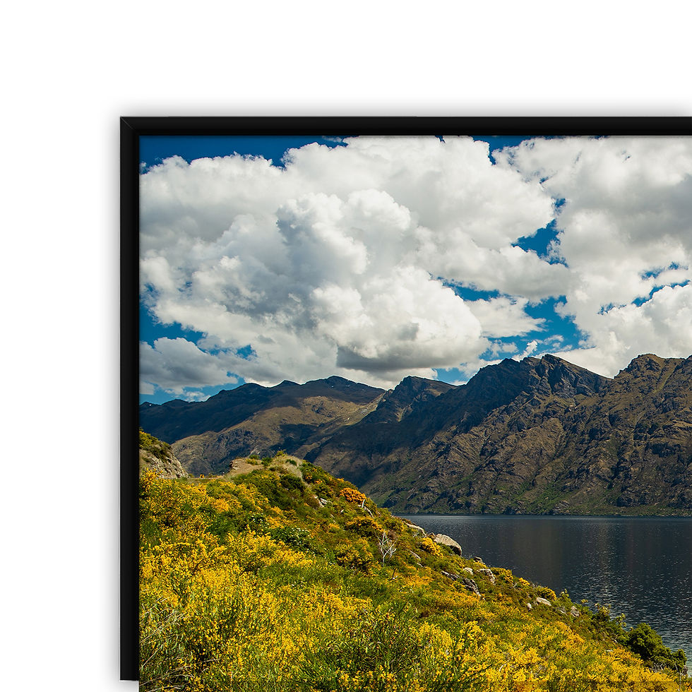 Thumbnail: Queenstown Drive Lake Wakatipu 2