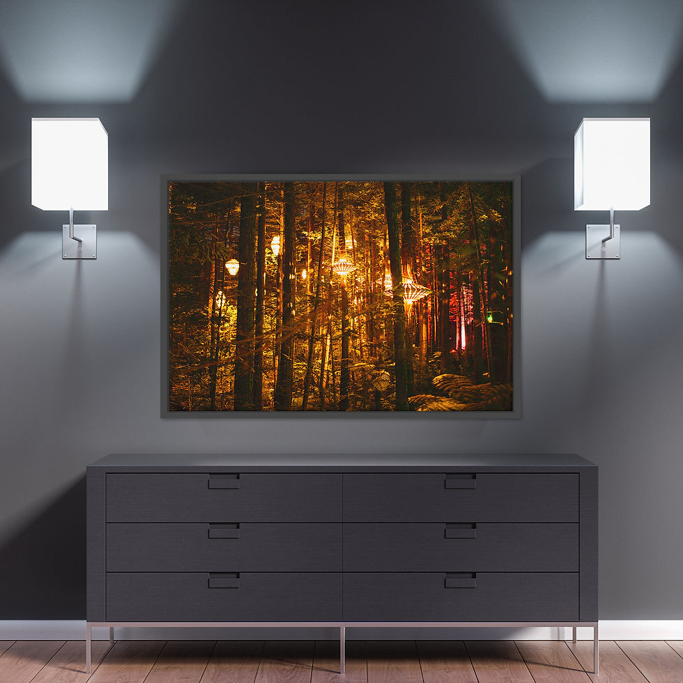 Thumbnail: Rotorua Tree Walk Night Lights