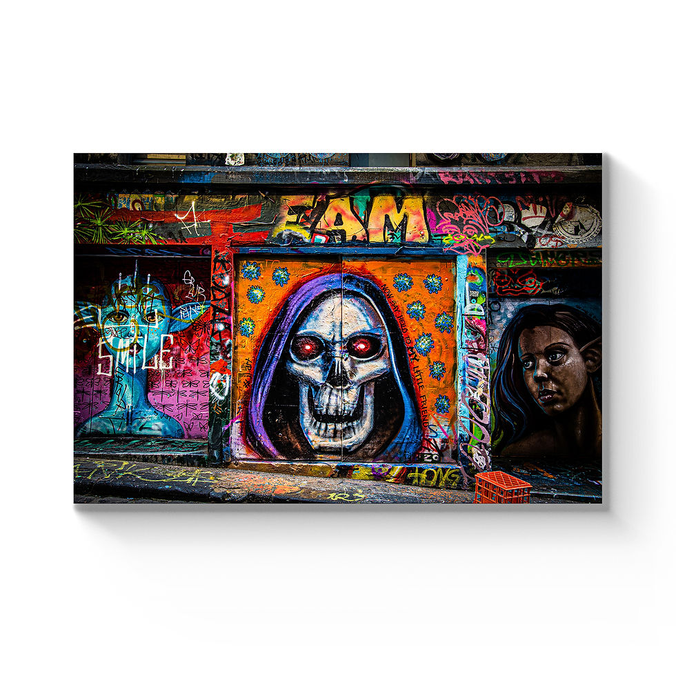 Melbourne Street Art Graffiti Skull