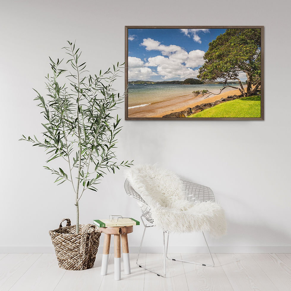 Thumbnail: Bay of Islands Beach and Tree