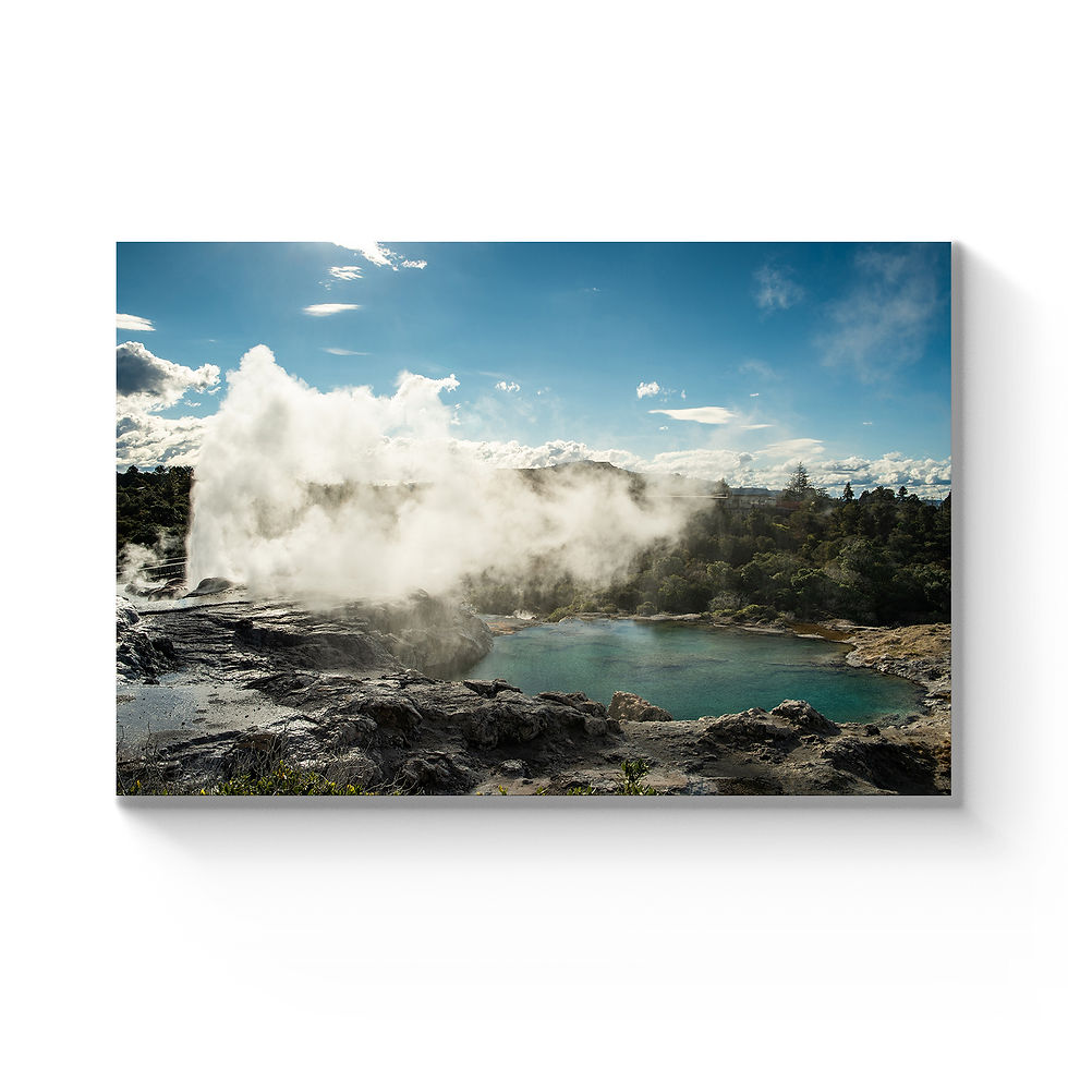 Rotorua Geyser 1