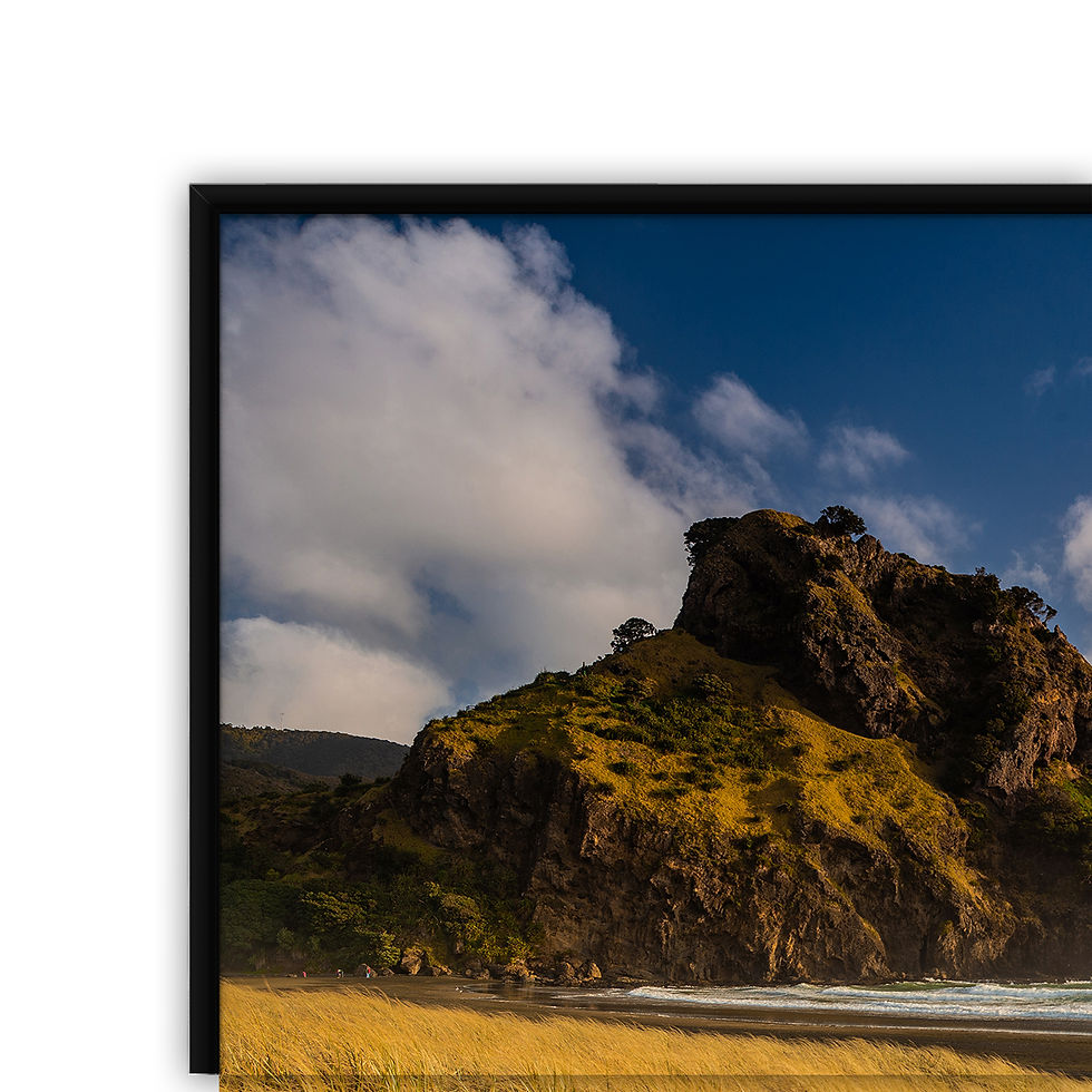 Thumbnail: West Auckland Beach