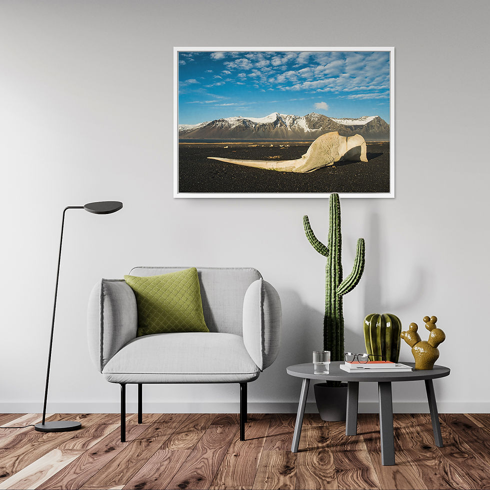 Thumbnail: Iceland whale bone