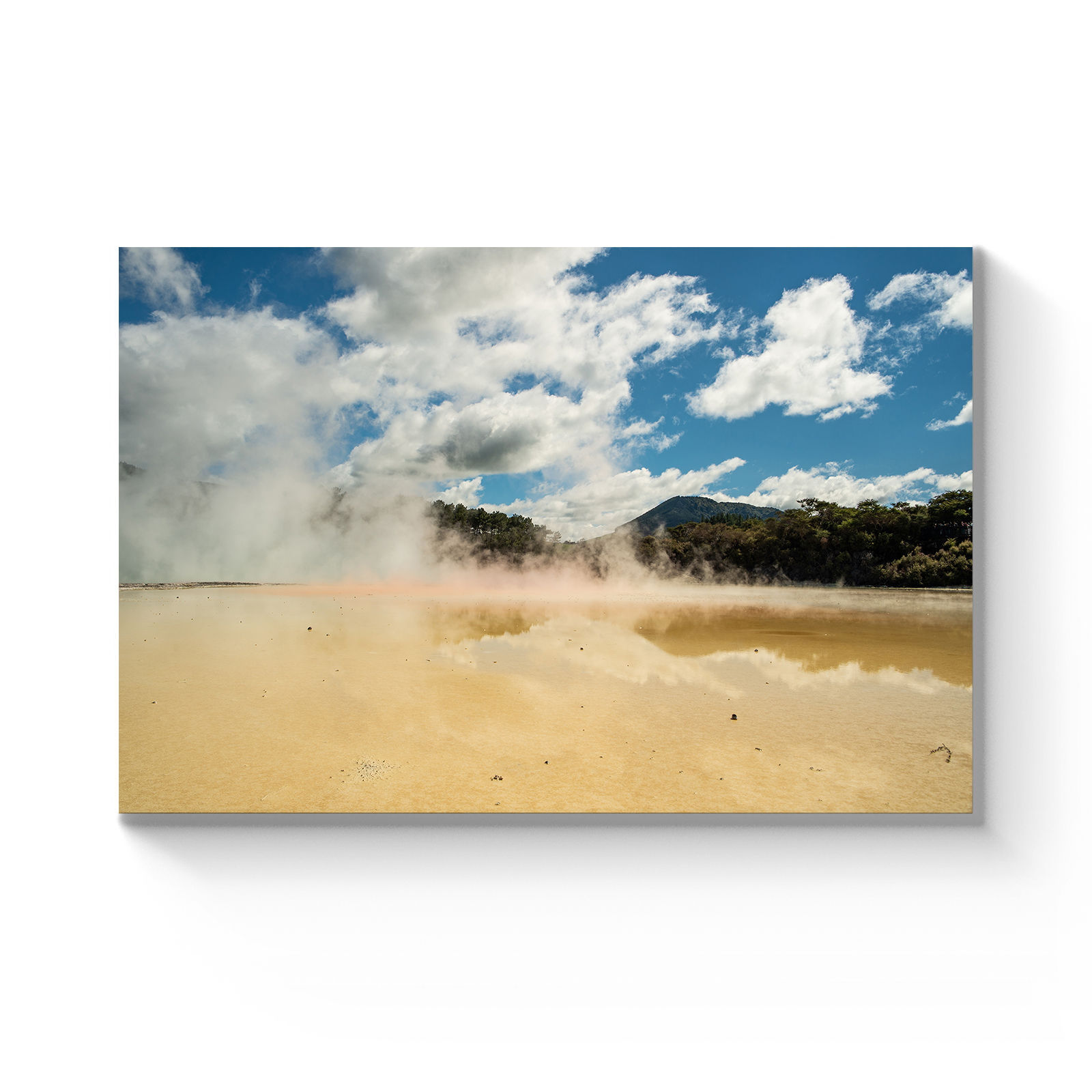 Rotorua Thermal Pools 2